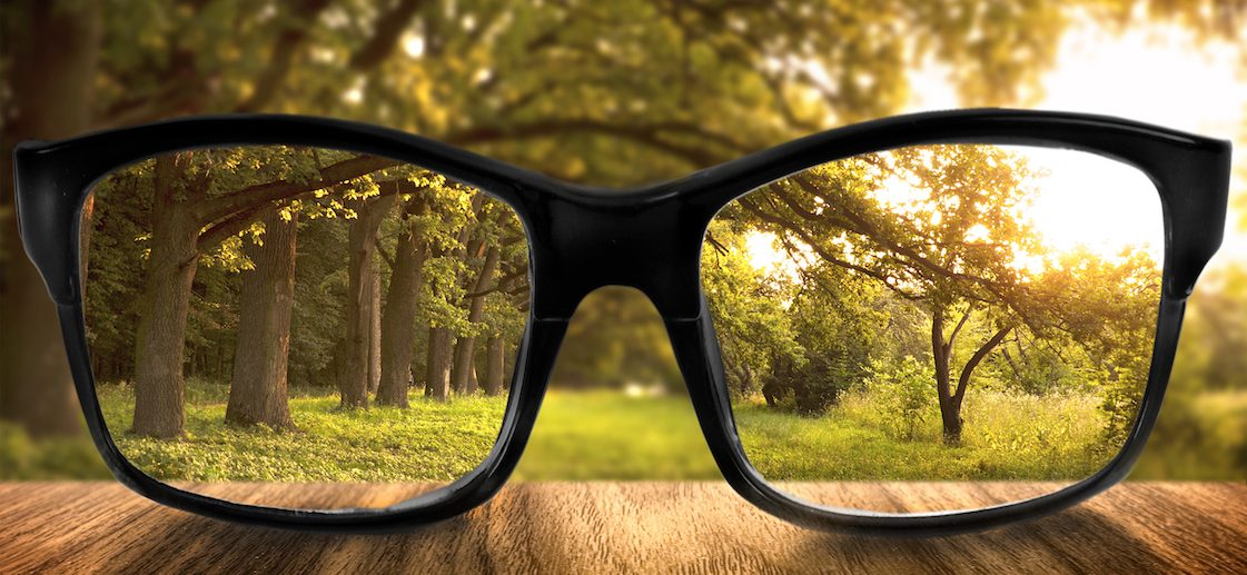 Clear forest in glasses on the background of blurred forest